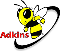 Bee Removal Abilene